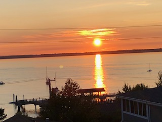 Do You Ever Miss The Dog Days of Summer?