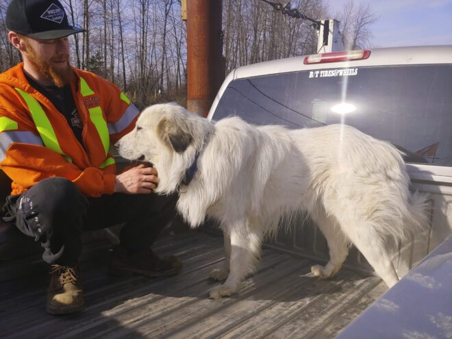 The Barnston Island Challenge