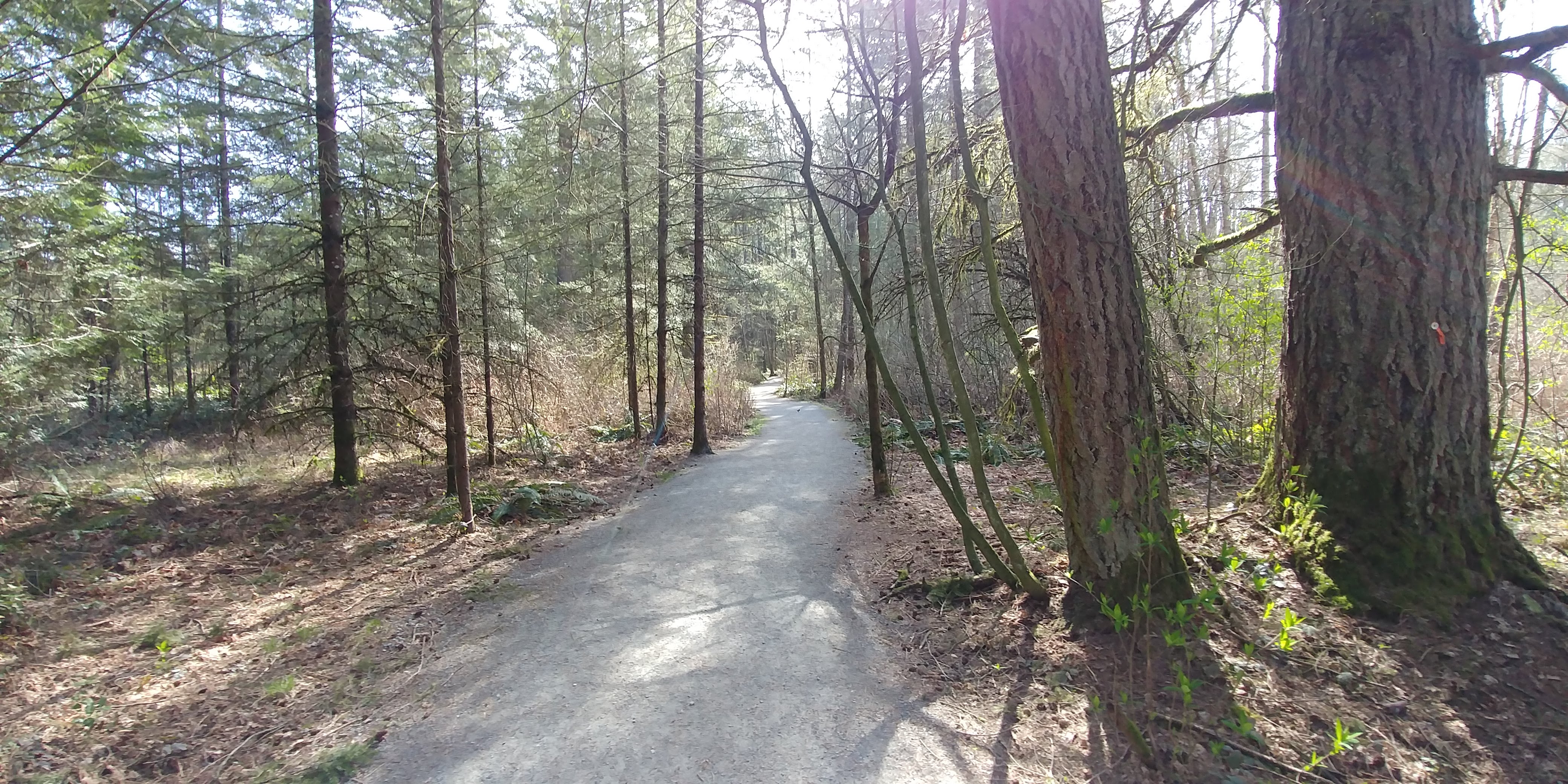 A Ghost in Campbell Valley