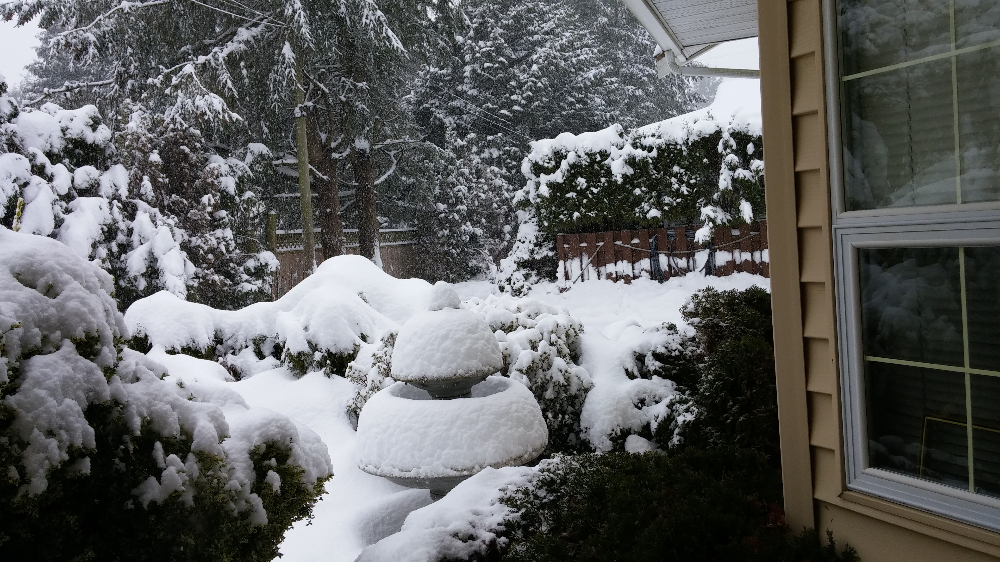 Fighting A Snowstorm & Cancer In Paradise