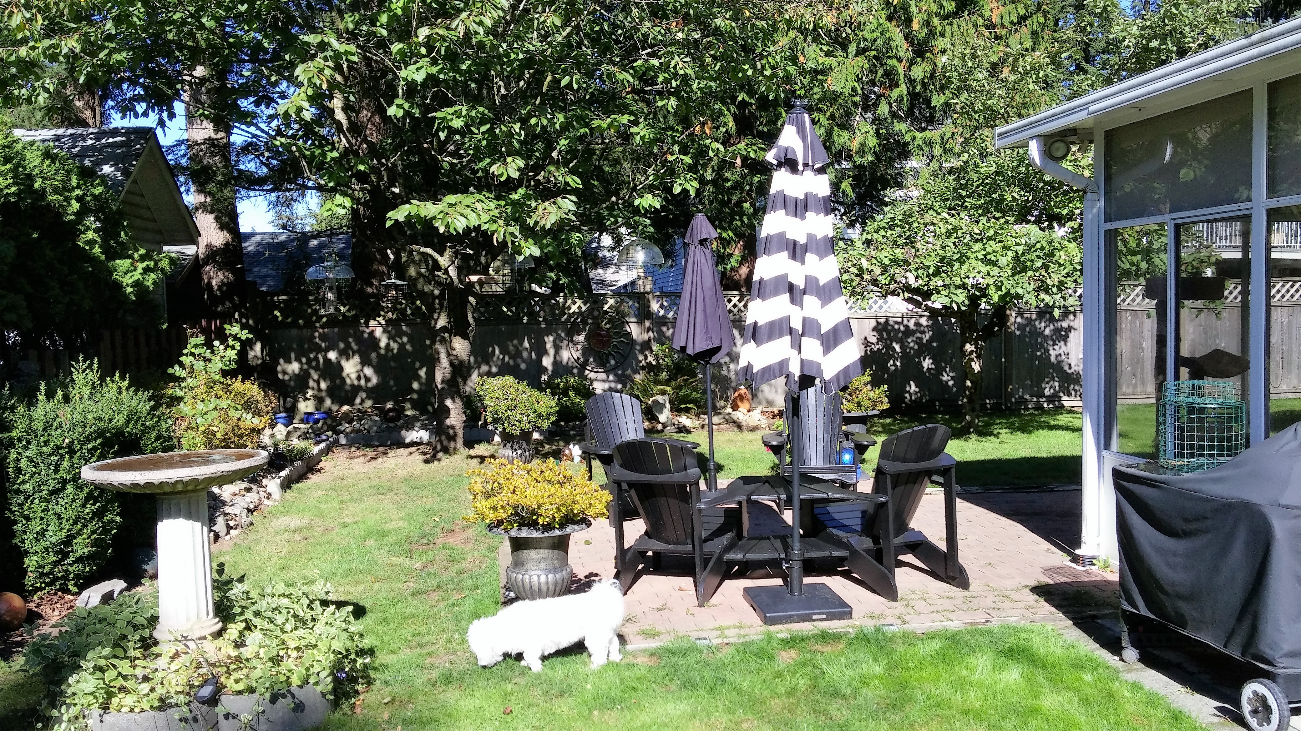 Dying Embers of A Life Lived And Loved