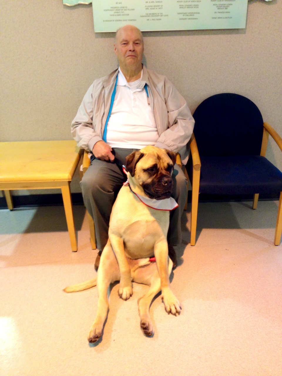 This Care Dog Handler Should Win A Gold Medal